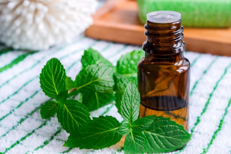 1800ss_getty_rf_peppermint_oil